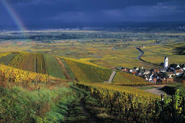 Kuehn, Ammerschwihr (depuis 1675)