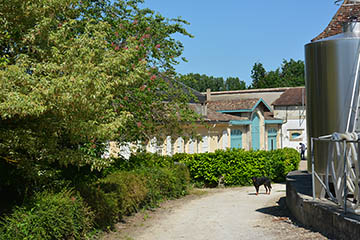Château Haut Mayne, Vignobles Boyer