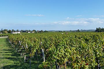 Château Tourbadon, Saint-Emilion Grand Cru