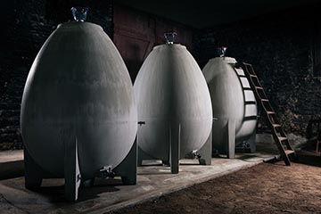 Domaine de la Pirolette, Saint-Amour (since 1600)