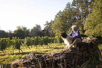 Domaine Bonnardot