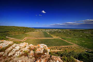 Château L'Hospitalet, Languedoc "La Clape"