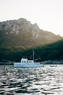 Domaine de L'Ile, Côtes de Provence de l'Ile de Porquerolles