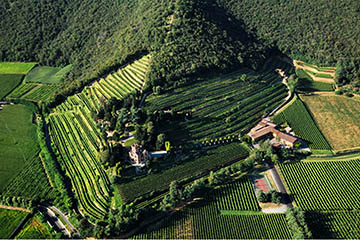 Castello Bonomi