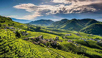 Bosco del Merlo, Veneto