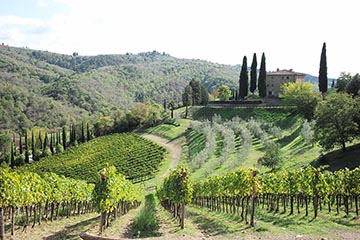 La Macinaia