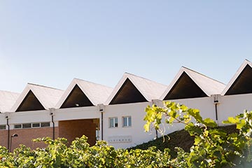 La Bodegas LLeiroso