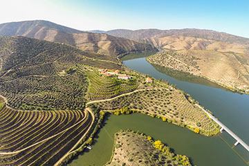 Burmester (since 1750)