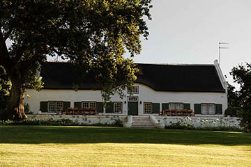 Taaibosch Wine Estate, Stellenbosch (Oddo Family)
