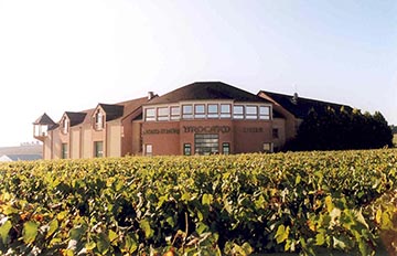 Jean-Marc Brocard, Chablis